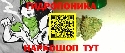 jwh Новодвинск