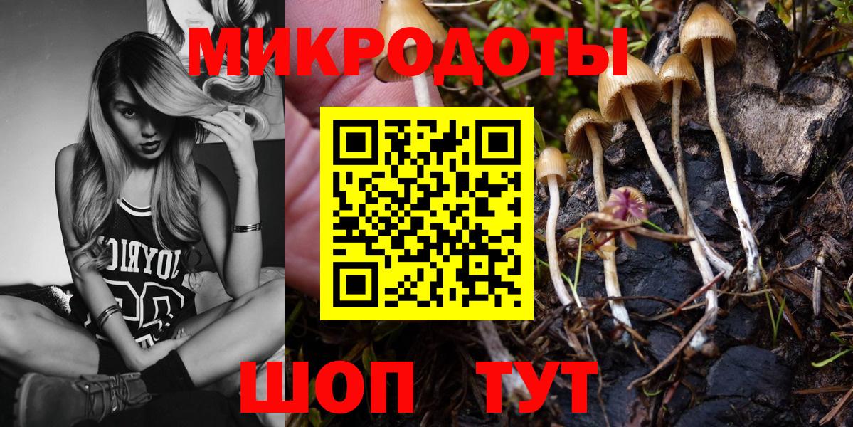 Псилоцибиновые грибы Cubensis Бузулук